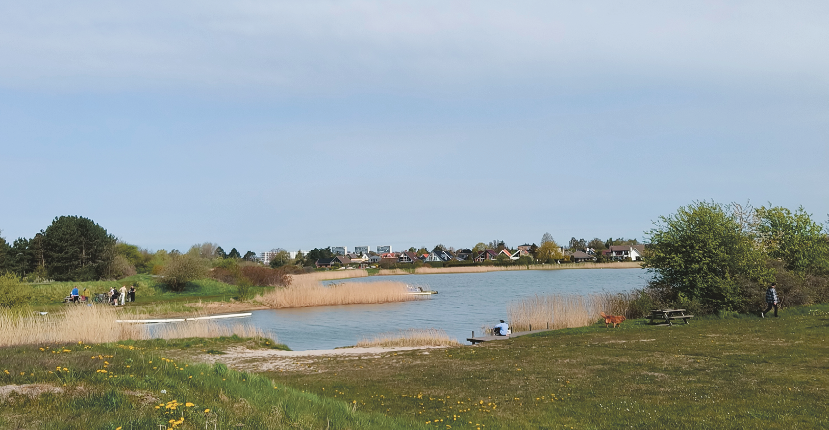 2024_Køge_strandpark2